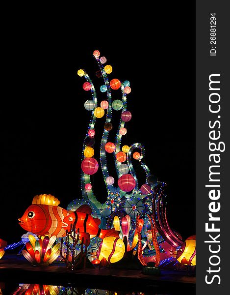 Colorful lanterns of marine fishes. Colorful lanterns of marine fishes.