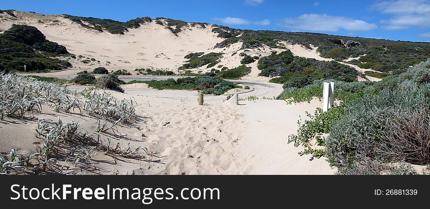 The panorama of South western Australian coastal dunes in the Moses Rock area shows the low growing salt tolerant plant species on the sandy windswept dunes which are swept by strong gale force westerly winds from the Indian Ocean. The panorama of South western Australian coastal dunes in the Moses Rock area shows the low growing salt tolerant plant species on the sandy windswept dunes which are swept by strong gale force westerly winds from the Indian Ocean.