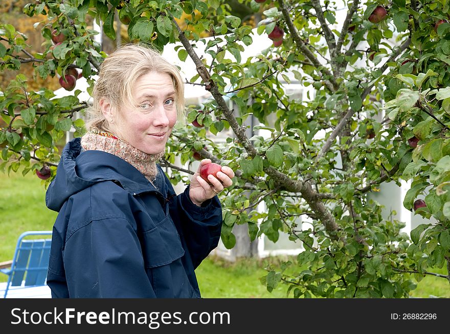 Woman in countryside garden holding an apple. Woman in countryside garden holding an apple.