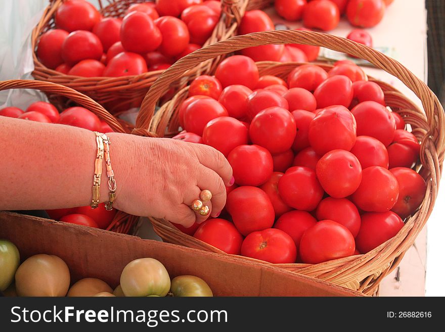 Hand gold bracelet and ring choosing tomatoes. Hand gold bracelet and ring choosing tomatoes