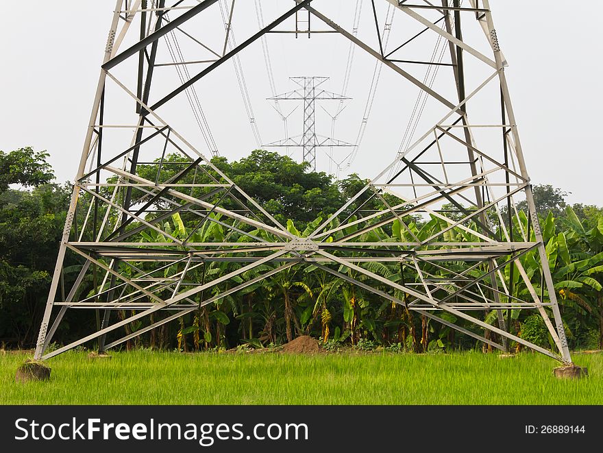 High Voltage Pylons On The Paddy Field, Thailand.