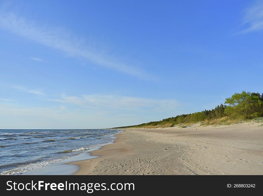 Sandy beach in Lithuania. Baltic sea