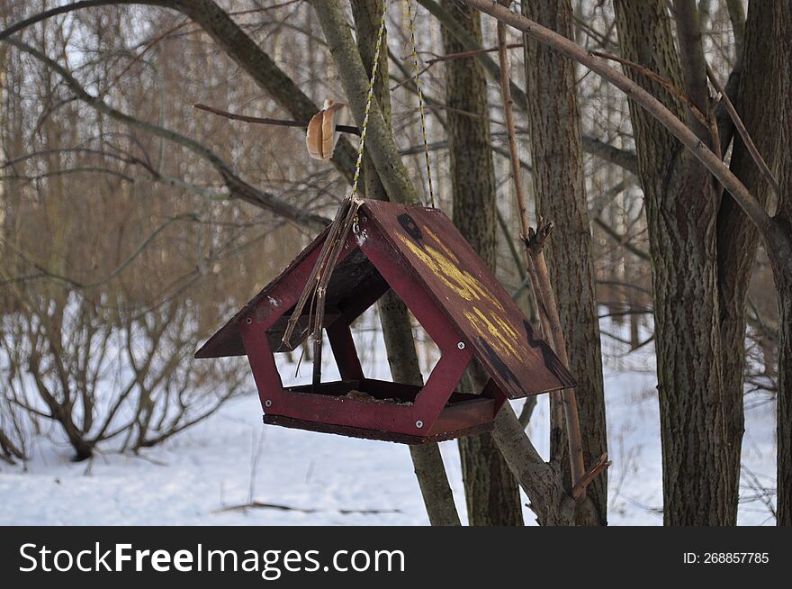 feeder-support the birds all year round