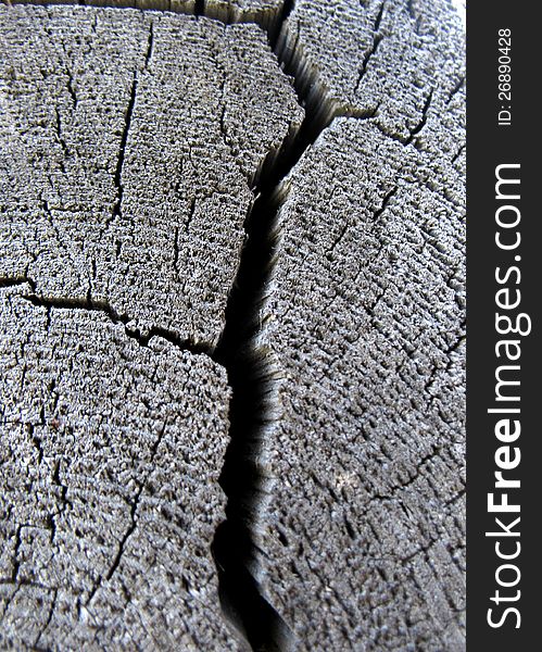 This is structure of wood board with crack. Closeup