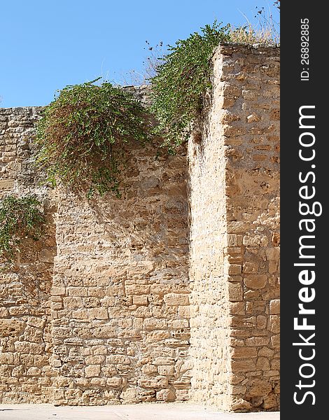 Old Fortress In Alcudia, Mallorca