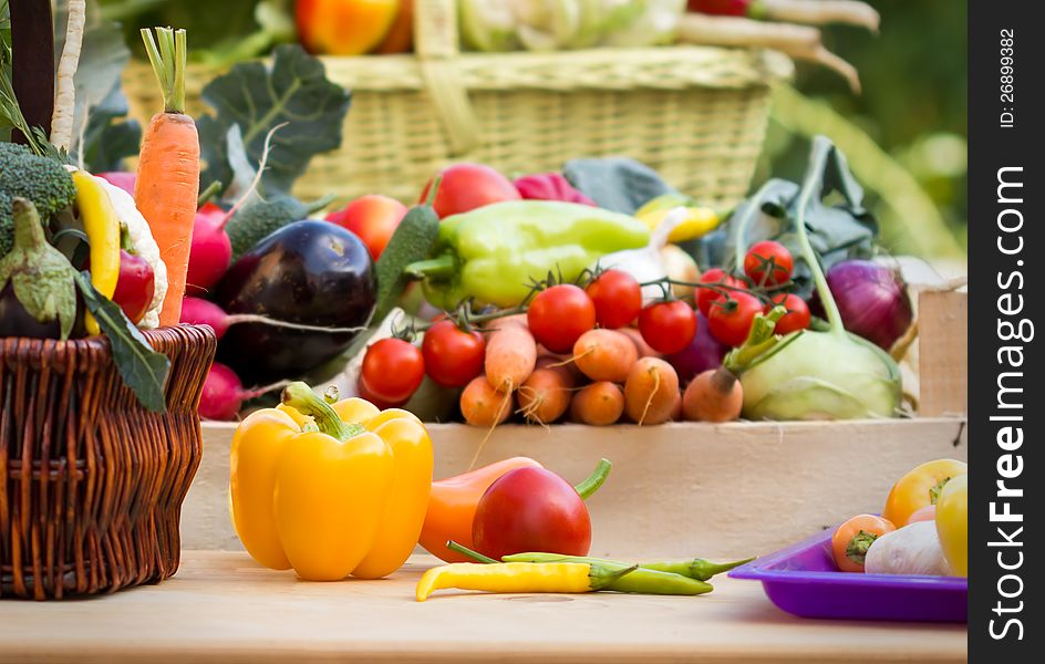 Table is full of diverse and fresh vegetables. Table is full of diverse and fresh vegetables
