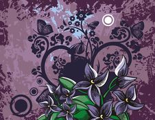 Floral Background Series Royalty Free Stock Images Floral Background Series Royalty Free Stock Images