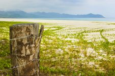 Aurora Beach Stock Photography