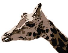 Giraffe - Illustration Royalty Free Stock Photo Giraffe - Illustration Royalty Free Stock Photo