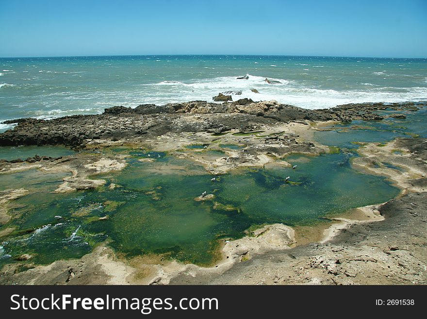 Essaouira, ex city of Portugal, with a lot of seagulls. Essaouira, ex city of Portugal, with a lot of seagulls