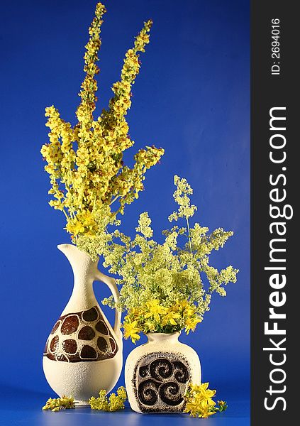 Two vases with bouquets of yellow field colors are photographed on a dark blue background. Two vases with bouquets of yellow field colors are photographed on a dark blue background.