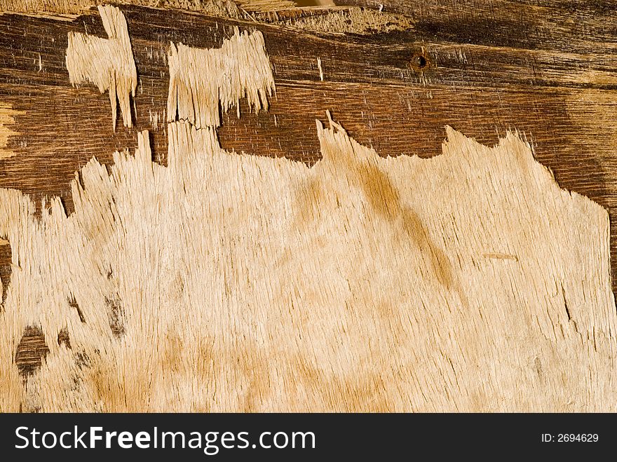 Close up of weathered driftwood or grunge wood. Close up of weathered driftwood or grunge wood