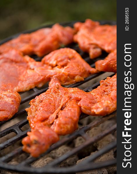 Barbecue meat on summer picnic