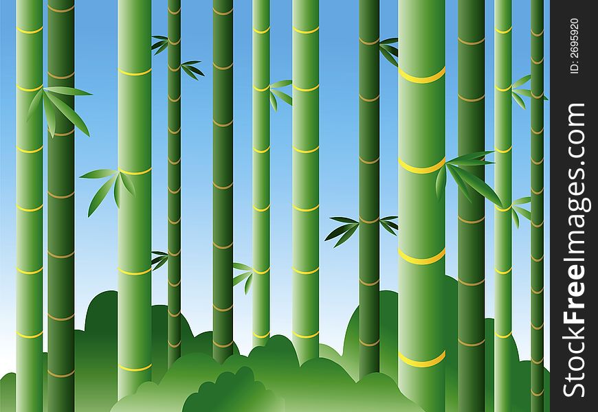 Bamboo forest with blue sky on background (see also night-time version)