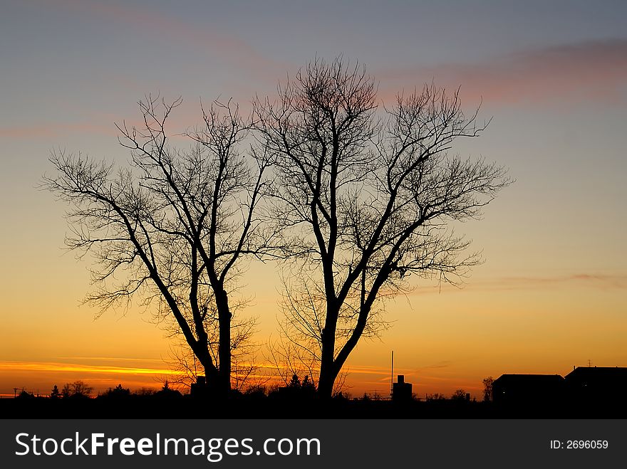 Lonely tree in the dark orange red sunset. Lonely tree in the dark orange red sunset