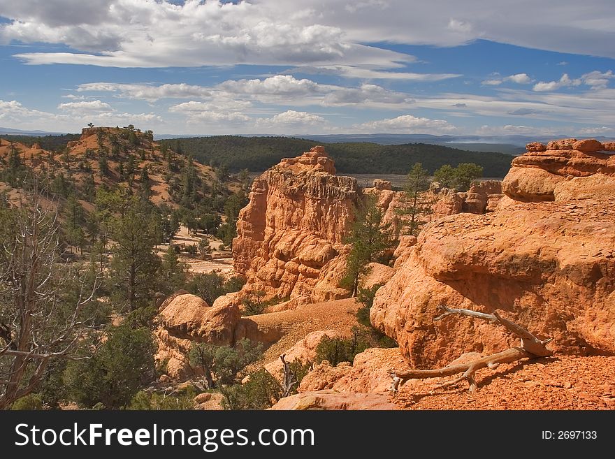 A red canyon  in state of Utah in the USA. A red canyon  in state of Utah in the USA