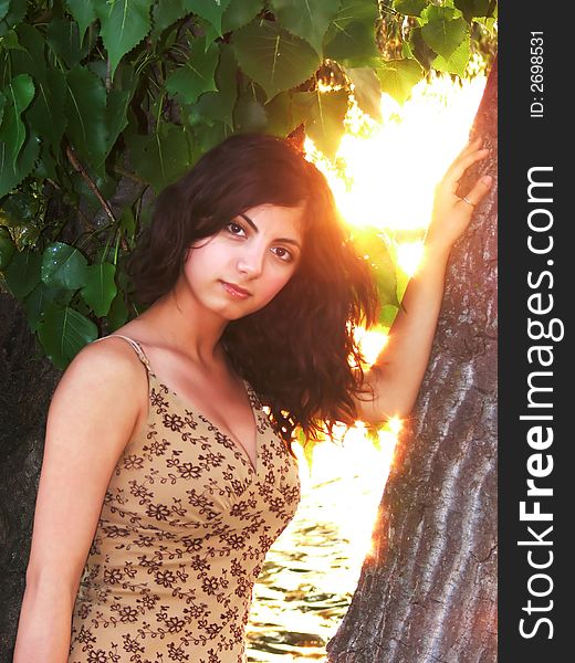 A beautiful young girl is standing on the lake under a tree with a wonderful
sunset behind. A beautiful young girl is standing on the lake under a tree with a wonderful
sunset behind.