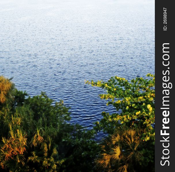 Tropical Bay fringed by plants and water fading to bright blue. Tropical Bay fringed by plants and water fading to bright blue