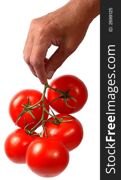 Five red tomatoes in hand isolated on white. Five red tomatoes in hand isolated on white