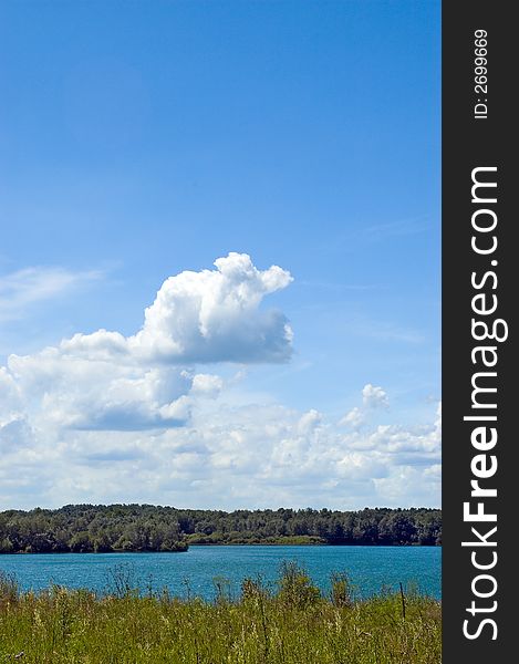 Colorful grass, lake, forest and cloudscape. Colorful grass, lake, forest and cloudscape