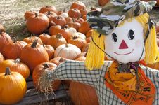 Halloween Scarecrow & Pumpkin Patch Royalty Free Stock Image