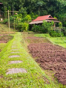 Agriculture Landscape Stock Images Agriculture Landscape Stock Images