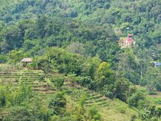 Agriculture On Mountain Stock Image Agriculture On Mountain Stock Image