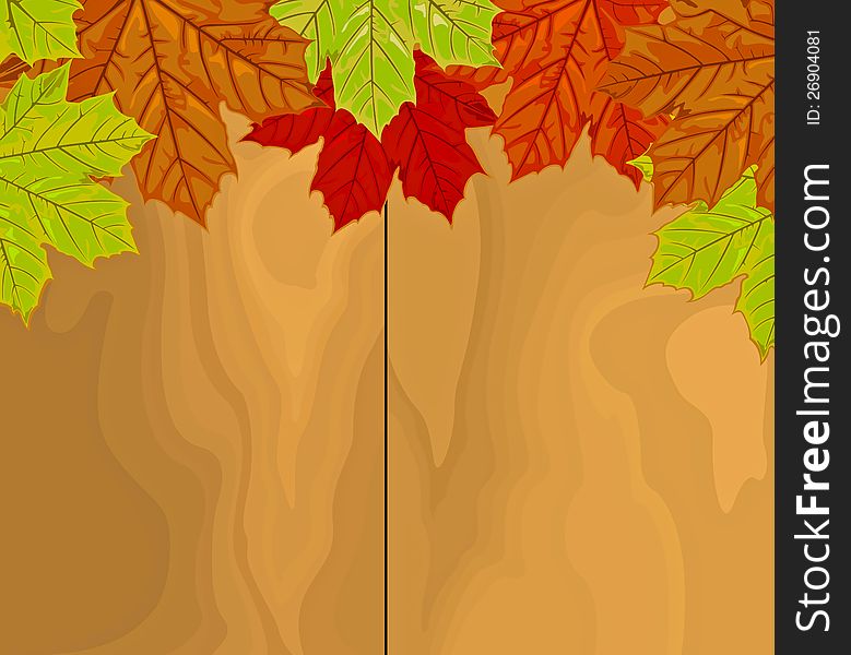 Beautiful autumn maple leaves on wood. Beautiful autumn maple leaves on wood