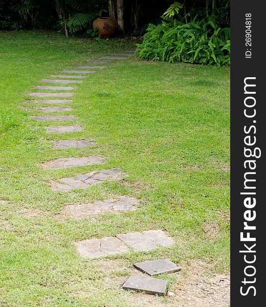 Pathway on green field in the garden