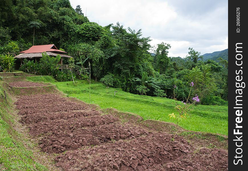 Agriculture landscape of countryside in Thailand