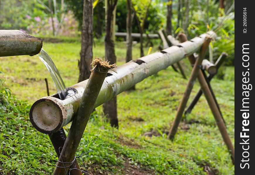 Natural water is flowing on bamboo pipe. Natural water is flowing on bamboo pipe