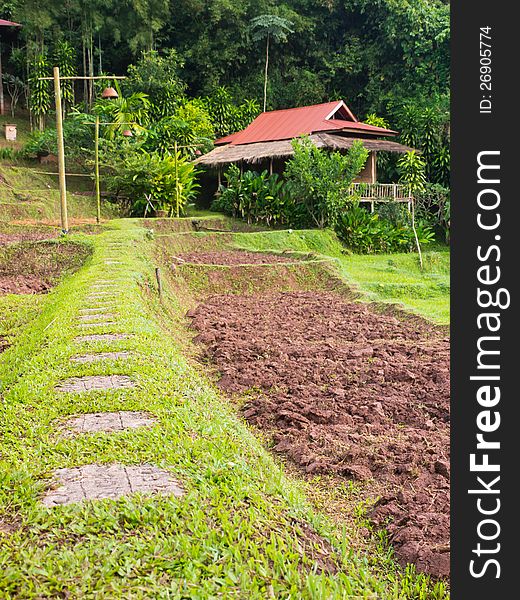 Agriculture landscape of countryside in north of Thailand