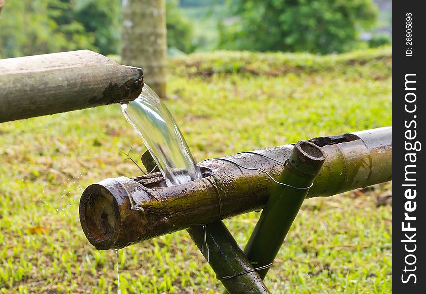 Natural water is flowing on bamboo pipe. Natural water is flowing on bamboo pipe