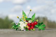 Bouquet Of Flowers And Berries Royalty Free Stock Image Bouquet Of Flowers And Berries Royalty Free Stock Image