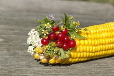 Bouquet Of Flowers And Berries With Corn Royalty Free Stock Photography Bouquet Of Flowers And Berries With Corn Royalty Free Stock Photography
