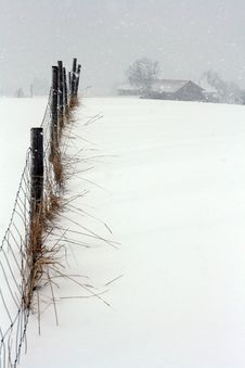 A Violent Blizzard In Bavaria Stock Image