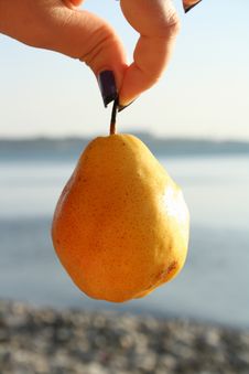 Hanging Pear Can T Eat Royalty Free Stock Photos