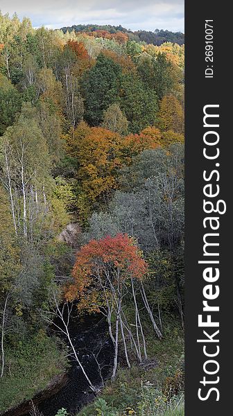 Vertical panorama wild river landscape at a fall. Autumn forest, colored leaves