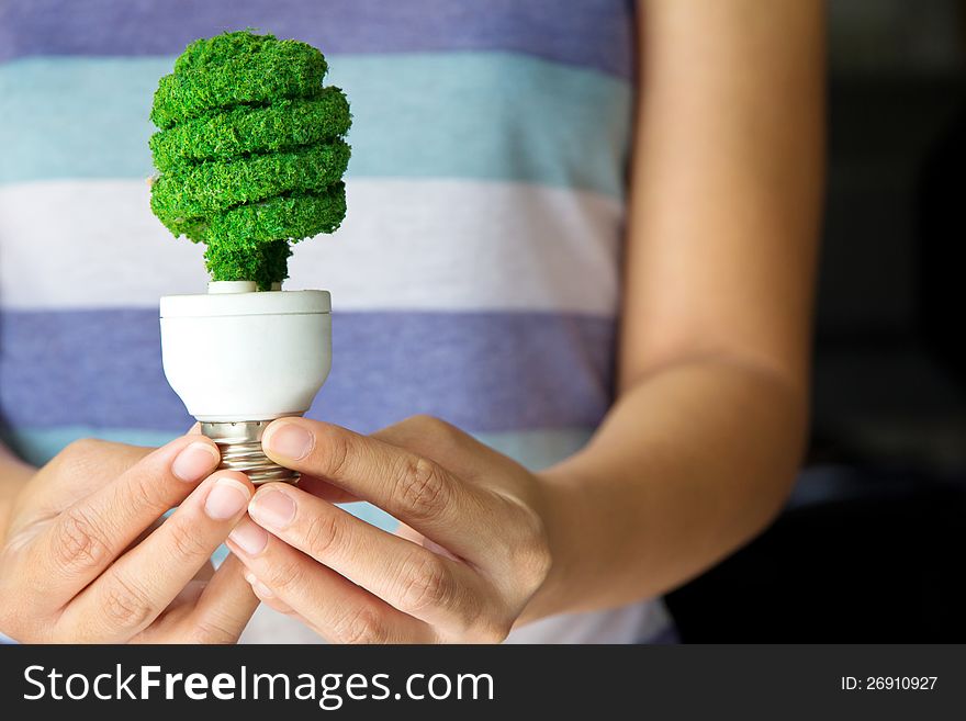 Hand Holding Eco Light Bulb