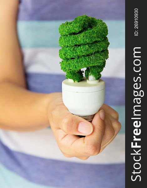 Hand holding eco light bulb, save energy concept