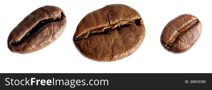 Three coffee beans isolated over white background