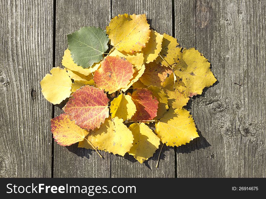 Yellow leaves lie on the wooden table. Yellow leaves lie on the wooden table