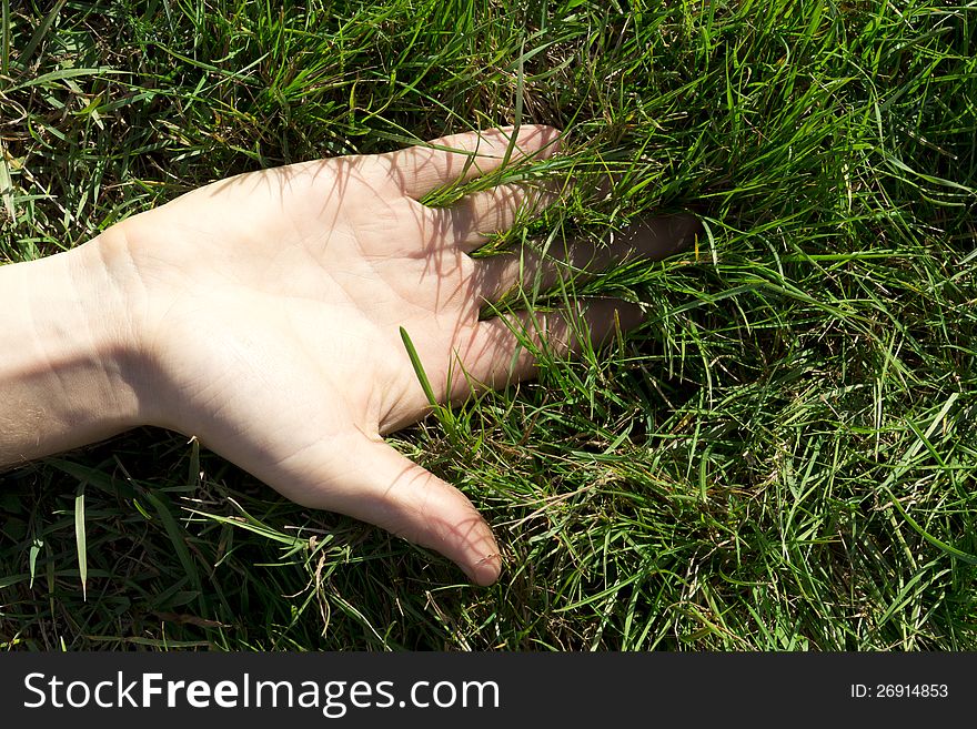 The hand resting in the green grass. The hand resting in the green grass