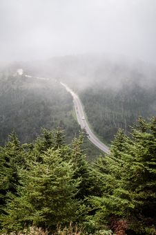Overlooking Foggy Valley And Balsam Pine Trees At Stock Photography Overlooking Foggy Valley And Balsam Pine Trees At Stock Photography