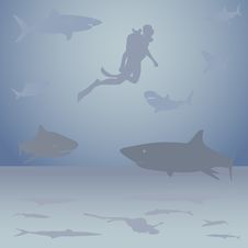 Diver Among Sharks Stock Photo