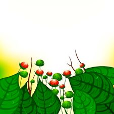 Green Leaves With Flowers Background Royalty Free Stock Photography Green Leaves With Flowers Background Royalty Free Stock Photography