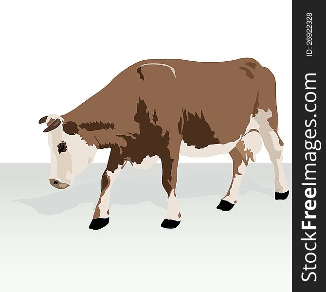 Cattle. Animal on the farm. Illustration on white background. Cattle. Animal on the farm. Illustration on white background.