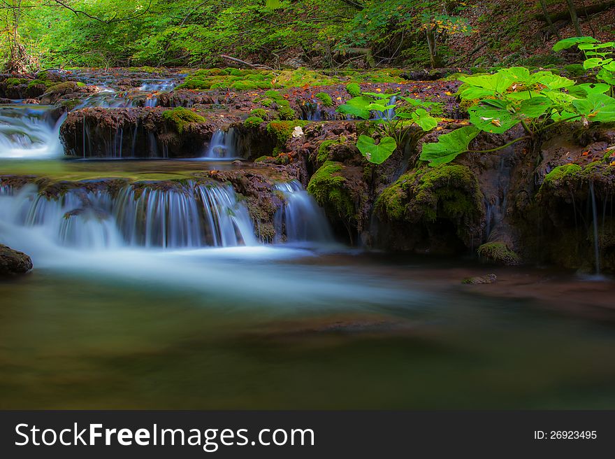 Peacefully flowing stream and autumn foliage