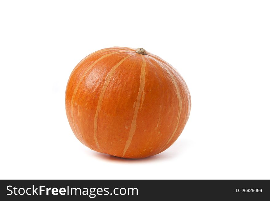 Pumpkin on a white background