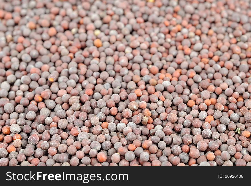 A close-up of black mustard seeds as a background. A close-up of black mustard seeds as a background